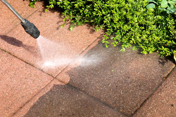 Best House Pressure Washing  in Dallas Center, IA